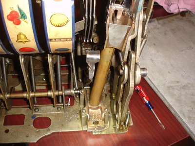 DSC06017.JPG