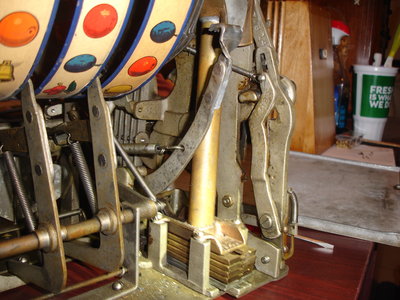 DSC06018.JPG